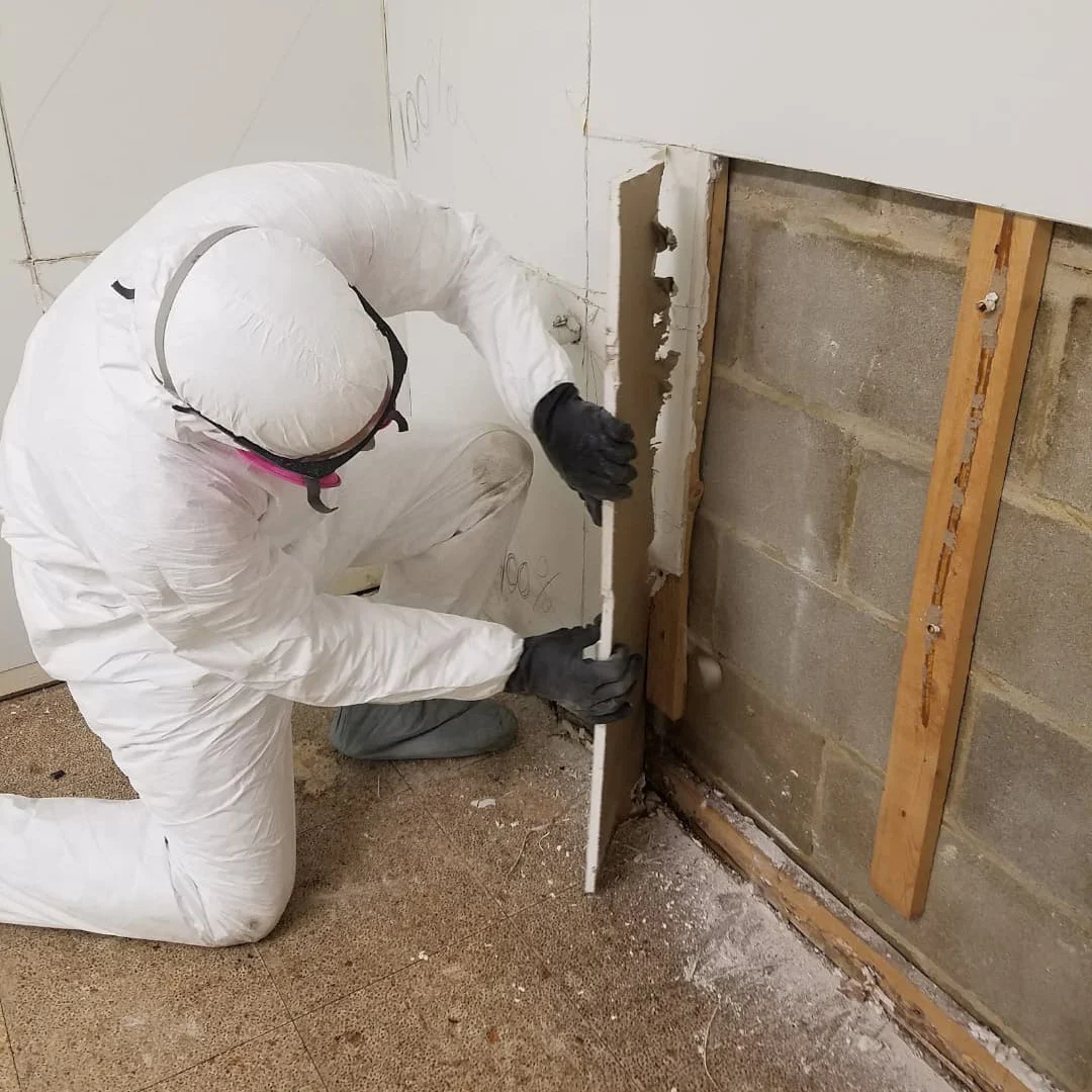 IICRC certified mold remediation technician removing mold-contaminated drywall during a residential cleanup in Monmouth County, New Jersey.