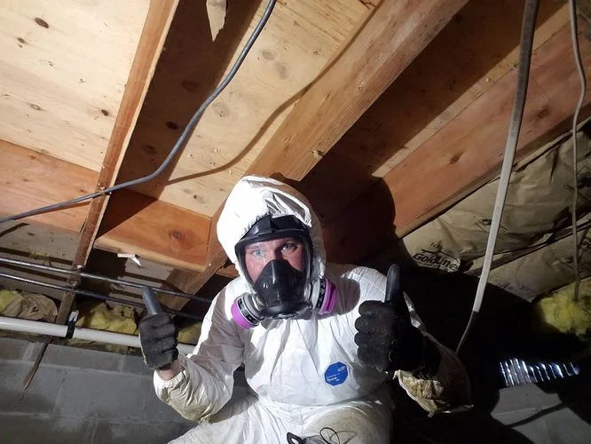 Mold Remediation Worker