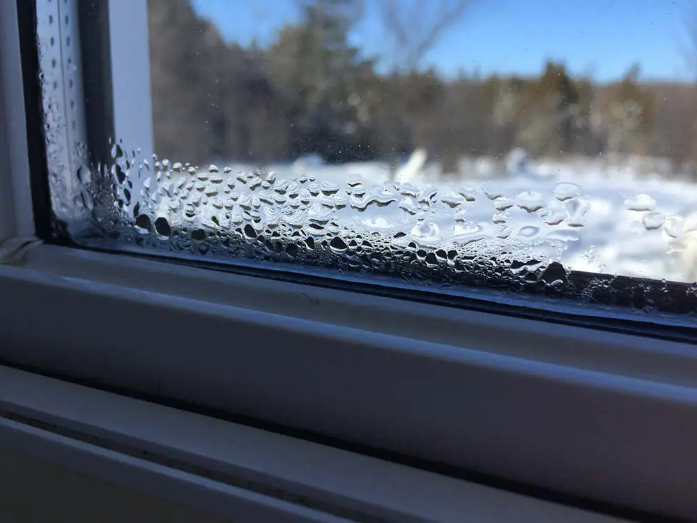 Snow and moisture buildup contributing to winter mold in New Jersey